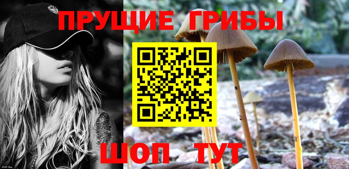 Псилоцибиновые грибы Cubensis  Вход с VPN  Галлюциногенные грибы MAGIC MUSHROOMS  Первоуральск 