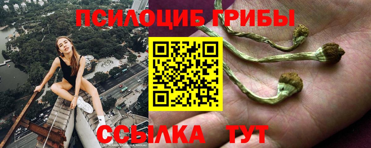 Псилоцибиновые грибы Cubensis Первоуральск